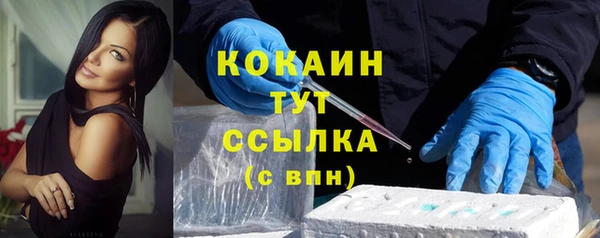 МДПВ Вяземский
