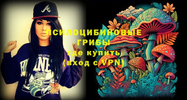 соль курить ск Рославль