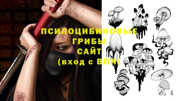 МДПВ Вяземский